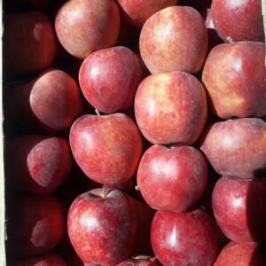 Яблоки красные (кг)