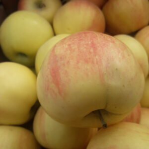 Яблоки желтые (кг)