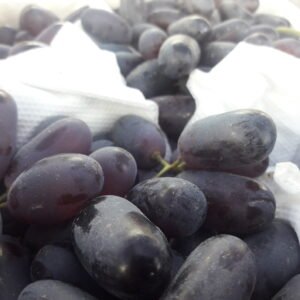 Виноград чёрный (кг)